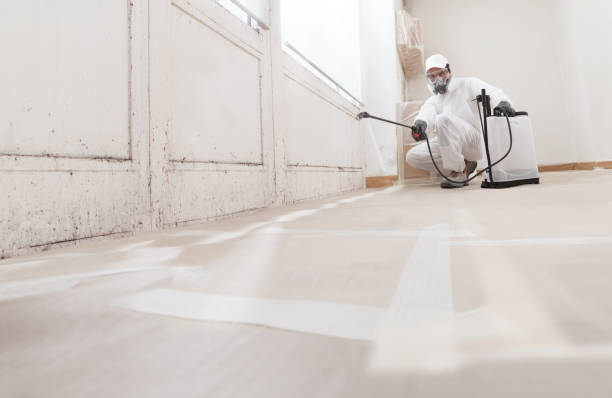 24/7 Emergency Mold Remediation experts in Republic, WA