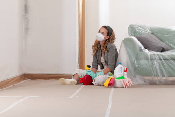 Reliable Mold Remediation contractor in Republic, WA by 24 Hour Mold Removal